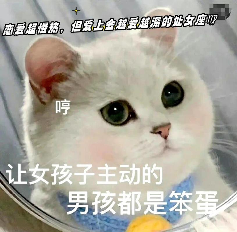 处女座对待感情是怎么样的