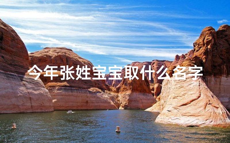 2021张姓女宝宝取名