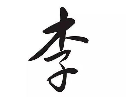 李姓男宝宝2021年取名，这几点别忽略
