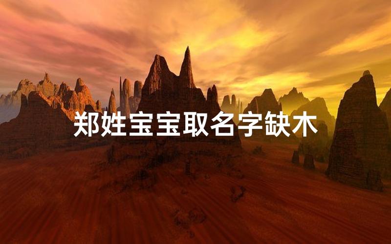 2021年郑姓宝宝起名