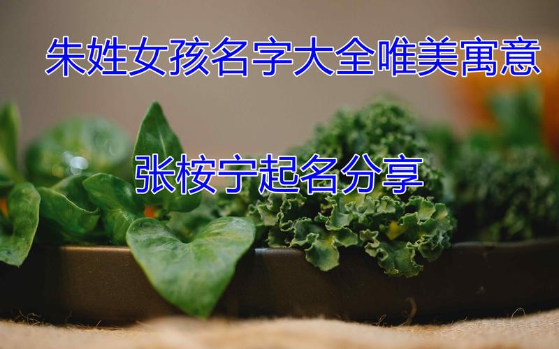2026 年朱姓宝宝起名