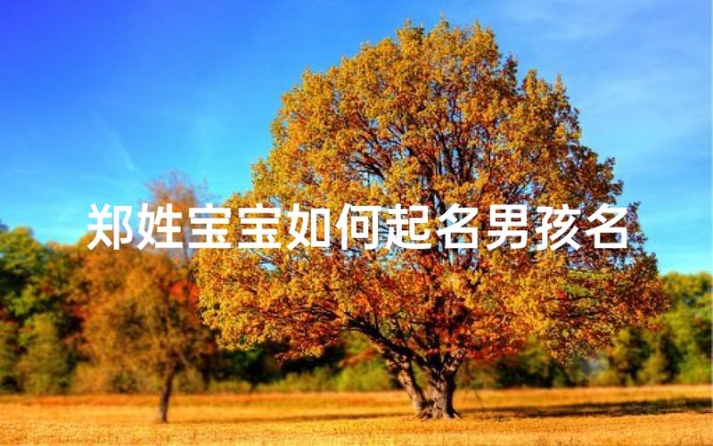 2026年郑姓宝宝起名，这几个要点别搞错了
