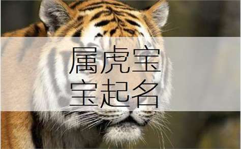 宝宝起名 2026 年属虎女宝