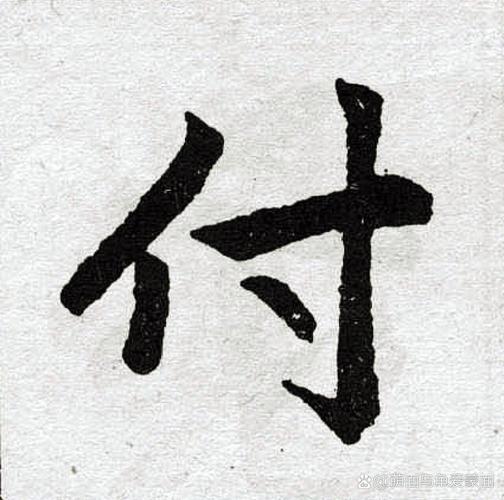 付姓女宝宝起名