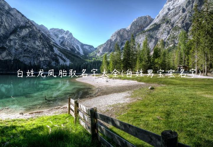 白氏女宝宝起名大全