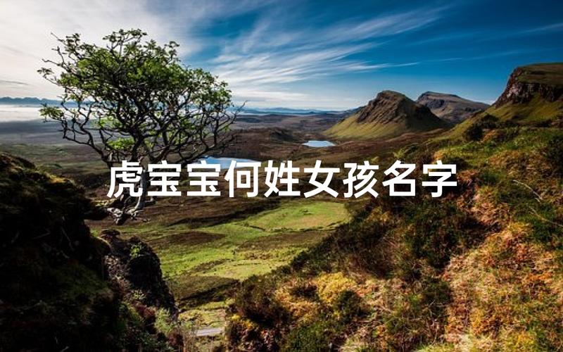 何姓女宝宝起名