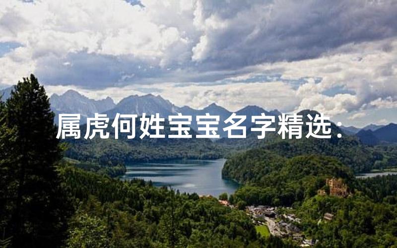 何姓女宝宝起名