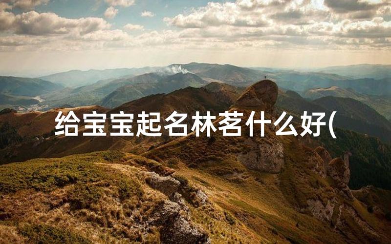 宝宝起名木字旁的字